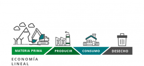 Economía Lineal